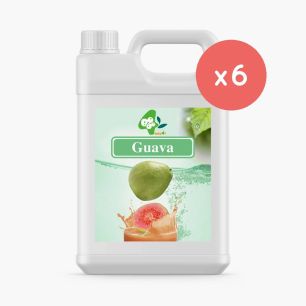 BOBOQ - SIROP GOYAVE BIDON 2.5KG