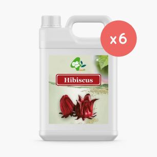 BOBOQ - SIROP HIBISCUS BIDON 2.5KG