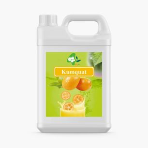 BOBOQ - SIROP KIWI BIDON 2.5KG