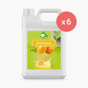 BOBOQ - SIROP KUMQUAT BIDON 2.5KG