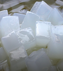 Nata de coco pour bubble tea