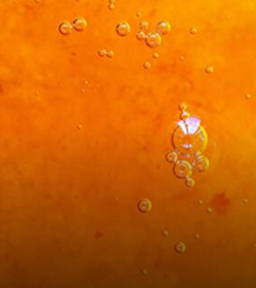 Sirop Bubble Tea